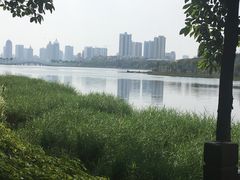 -南宁南湖公园