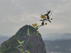 -南武当山景区