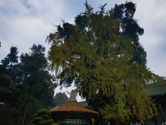 -南华禅寺