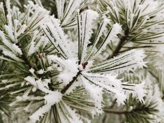 -兴芮温泉度假区