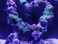 -海合安武汉极地海洋公园