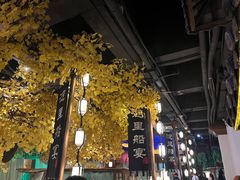 -淀里船宴(裕华东路店)