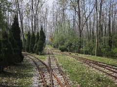 -合肥滨湖国家森林公园