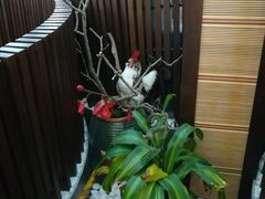 -环宇草鸡店·特色炒鸡