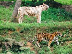 -杭州野生动物世界