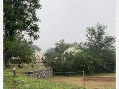 -紫云台香草园