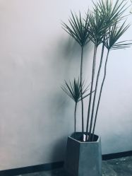 点击看大图 -GD GUIDE DIRECTION