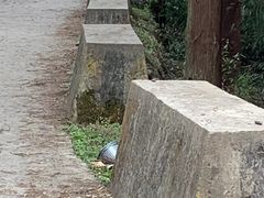 -九峰山