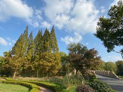 -昆山城市生态森林公园