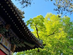 -潭柘寺景区