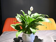 -蒙乡烤全羊·烤羊腿(京溪同和店)