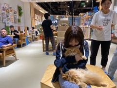 -藏猫猫咖啡主题馆(中央大道店)