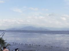 -深圳湾公园(南山区)