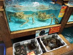 -国家五钻酒家·西樵旺阁渔村(西樵店)