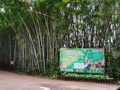 -海南热带野生动植物园