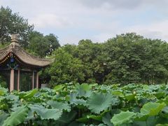 -莲湖公园