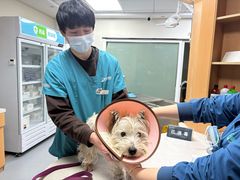 -联合动物医院(光谷诊疗中心)