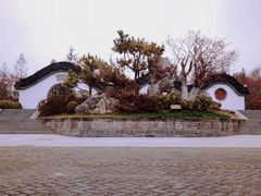 -上海海湾国家森林公园