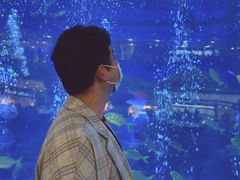 -成都浩海立方海洋公园