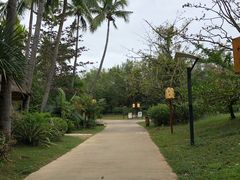 -三亚珠江南田温泉度假区