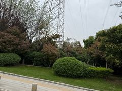 -海合安武汉极地海洋公园