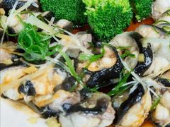 -绿岛国际酒店-西餐厅