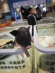 点击看大图 -meland亲子乐园•派对•研学(苏州悠方购物中心店)