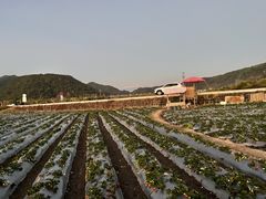 -腾冲和顺柏联酒店