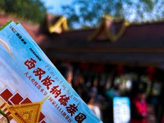 -西双版纳傣族园