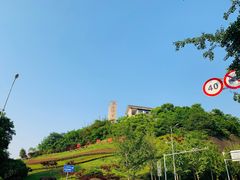 -铁山坪森林公园