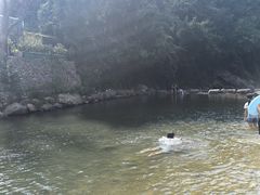 -北仑森林植物园