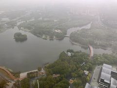 -嘉定凯悦·咖啡厅