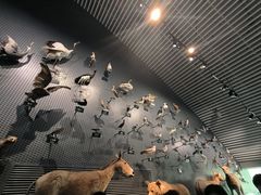 -中国湿地博物馆