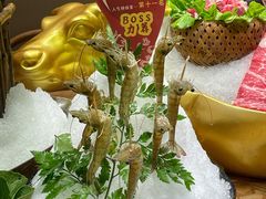 -尚海豆捞(乐虹坊店)