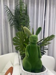 -白月光皮肤管理·德国LDM
