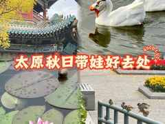 -迎泽公园
