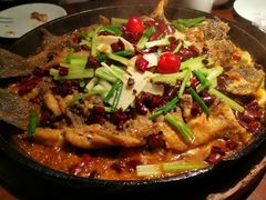 -老板恋上鱼(高新万达店)