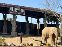 -上海野生动物园