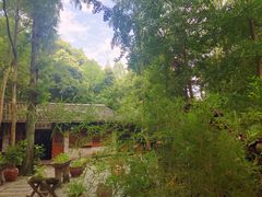 景观位-猪圈咖啡