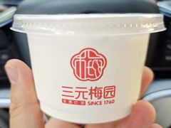 -三元梅园(团结湖店)