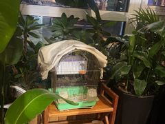 -草原塞蛮羊火锅城(港湾店)