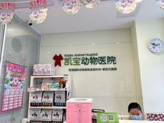 -悦宠凯宝动物医院·牙科·皮肤科(朝阳北路店)