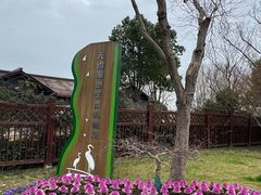 -贡湖湾湿地公园
