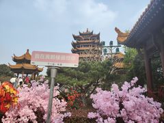 -黄鹤楼公园(黄鹤楼)