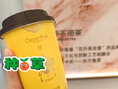 -爷爷不泡茶NOYEYENOTEA(武汉佰港城创始店)
