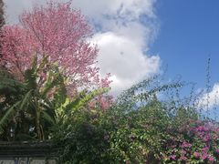 -巍山火巴肉饵丝(大理古城店)