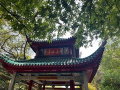 -岳麓山风景名胜区