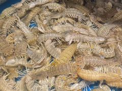 -辣盆盆麻辣小龙虾(哈尔滨总店)