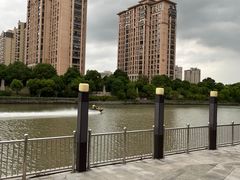 -陈家山荷花公园