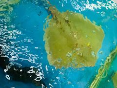 -后田海鲜餐厅(南澳香湖湾店)